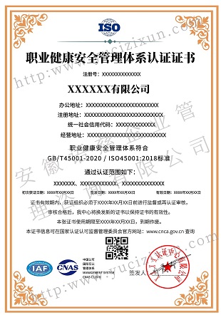 ISO45001职业健康安全管理体系